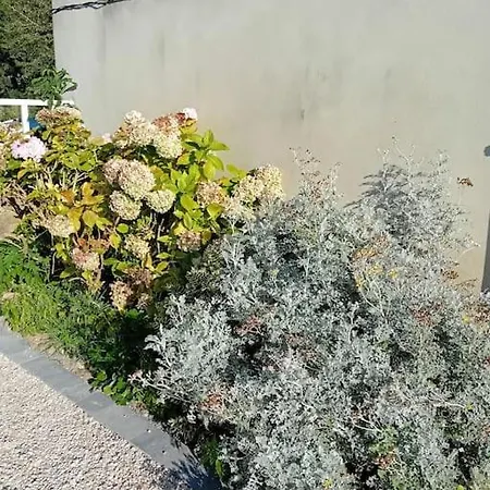 Дом отдыха Maison Spacieuse Grand Jardin Clos Belle Terrasse Amenagee Parling 2 Kms Plage D'arromanches Proche Bayeux Et Plages Du Debarquement *